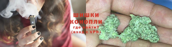 дживик Абаза