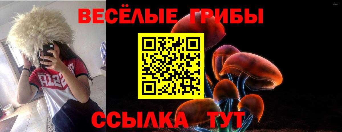 Электросталь  Галлюциногенные грибы Magic Shrooms  Вход с VPN 